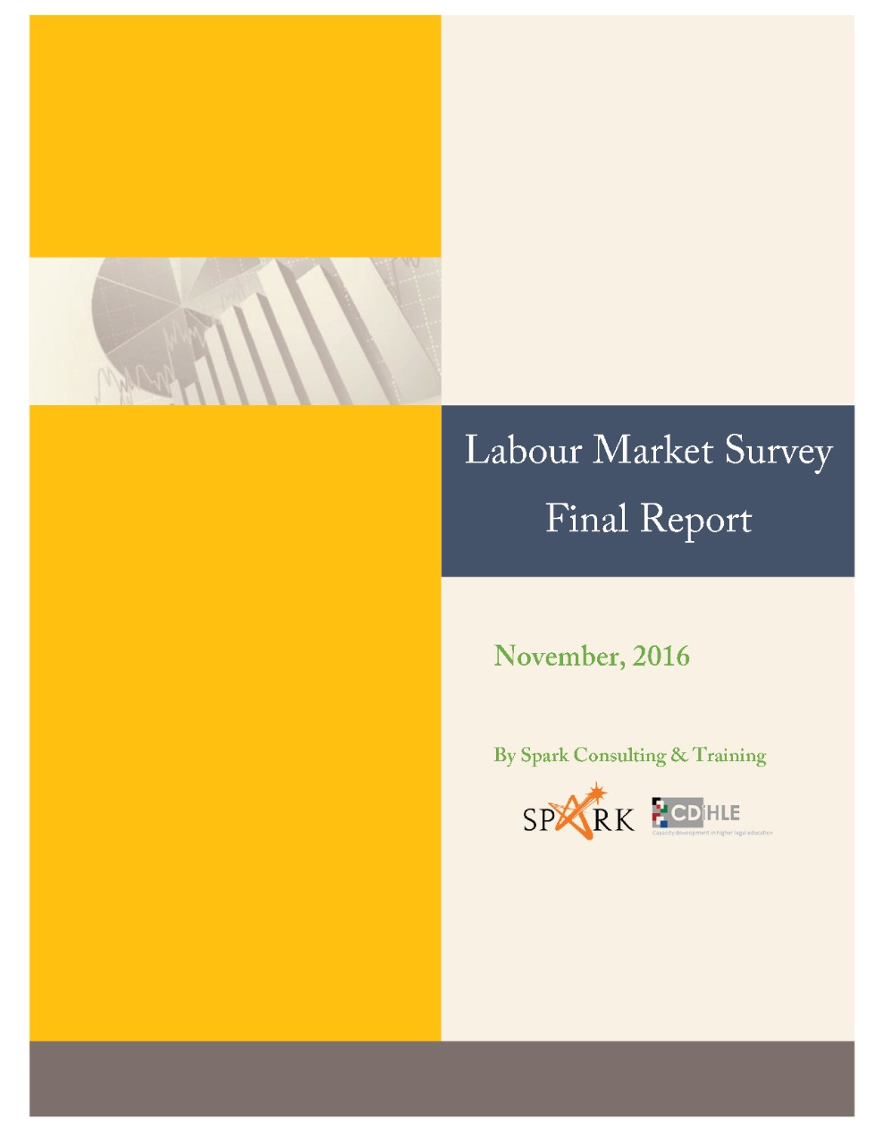 التقرير النهائي الخاص بمسح سوق العمل - تشرين ثاني / نوفمبر 2016